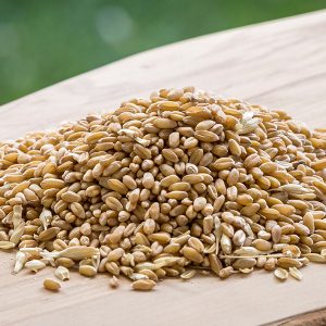 Organic Livestock Feed
