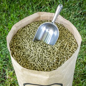 Supplements & Minerals