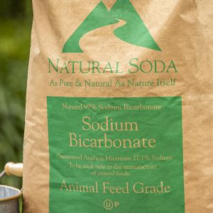 Natural Soda - Sodium Bicarbonate