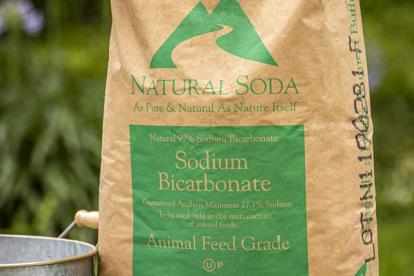 Natural Soda - Sodium Bicarbonate